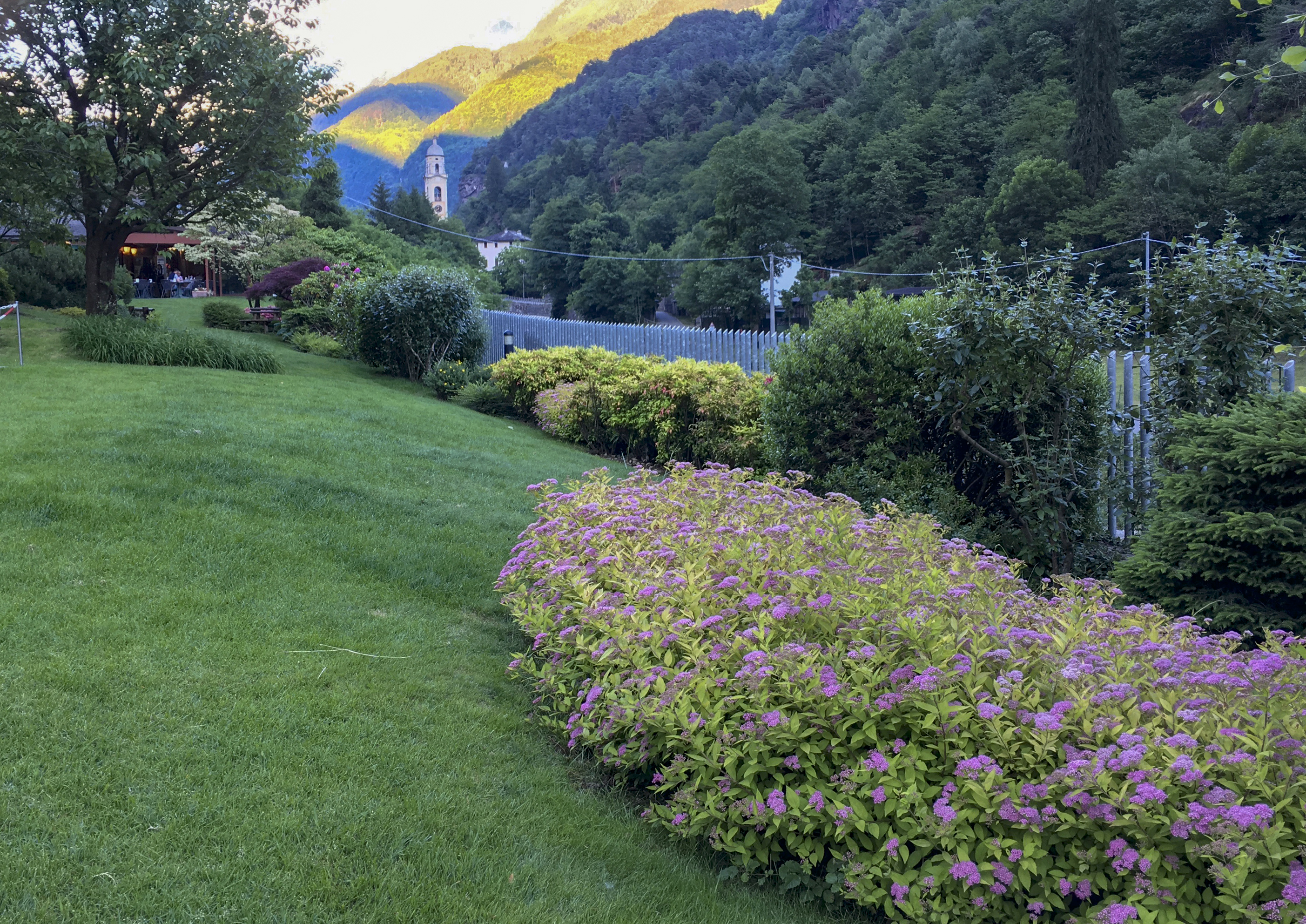 Giardino dell'albergo