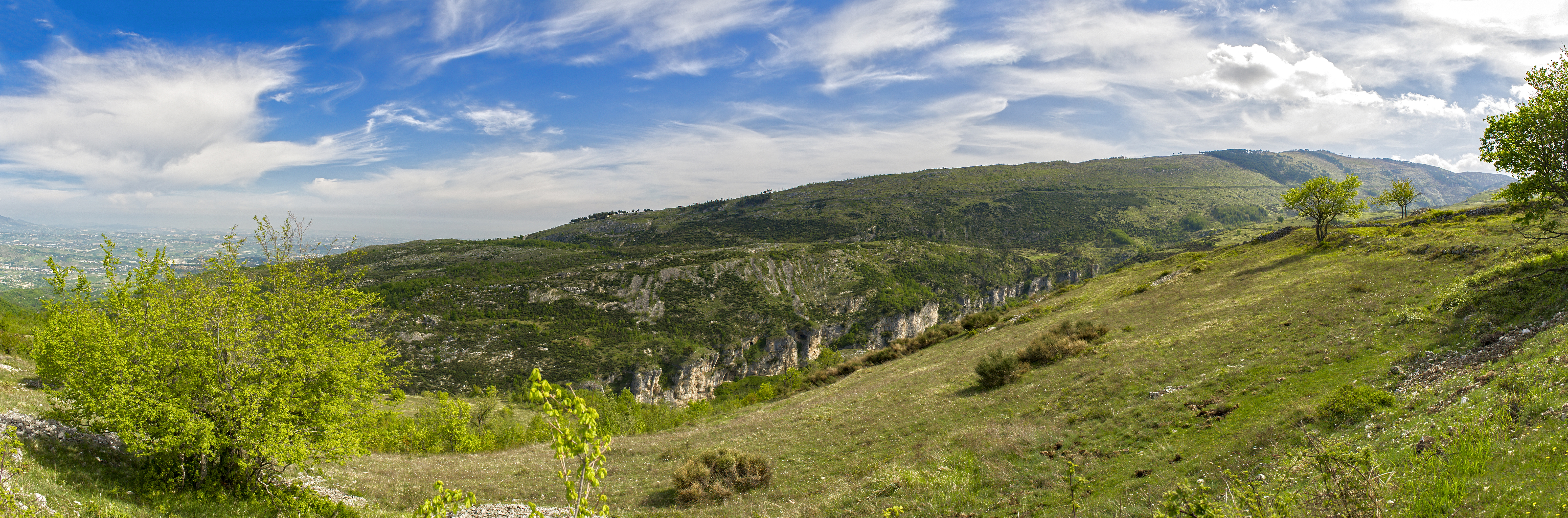  LN23212 panorama V4 240DPI