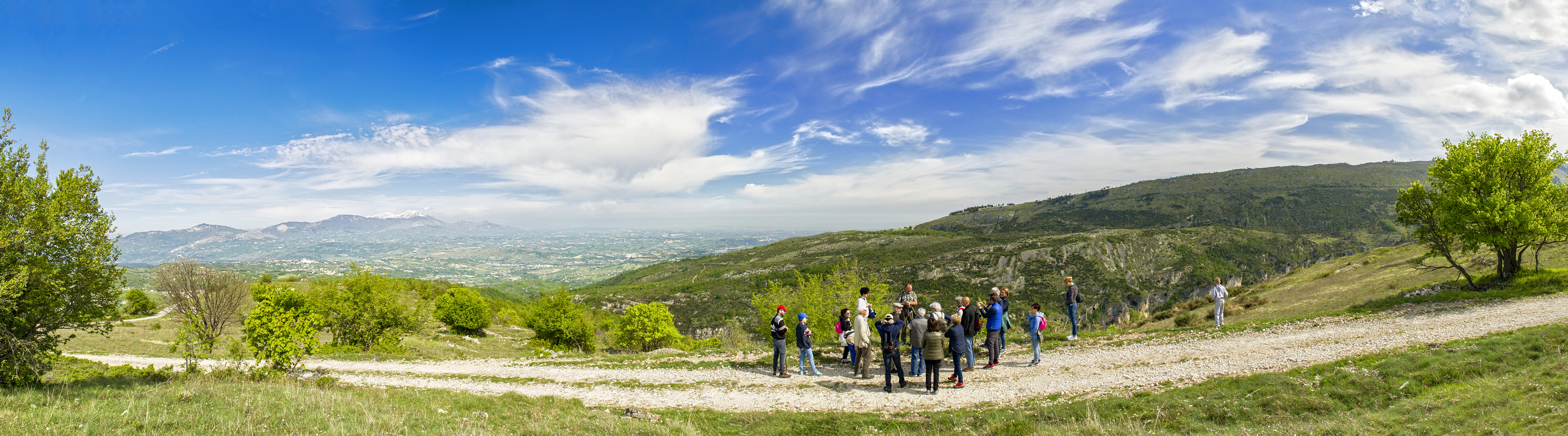  LN23220 panorama V4 240DPI